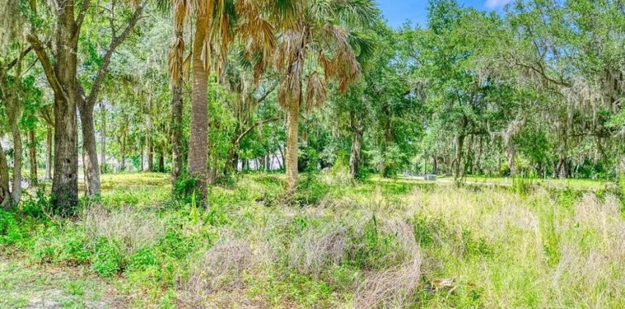Land in Yulee, Florida № 1622985