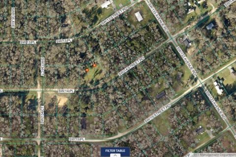 Terreno en venta en Ocala, Florida № 2148067 - foto 3