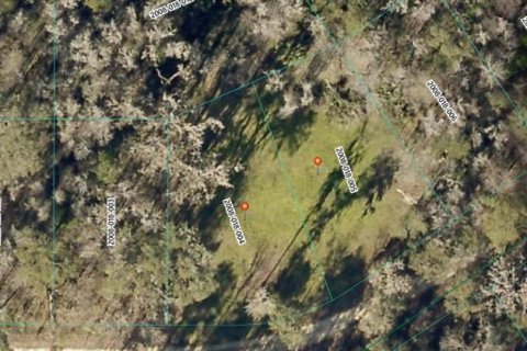 Terreno en venta en Ocala, Florida № 2148067 - foto 2