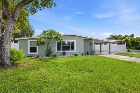 House in Tampa, Florida 4 bedrooms, 163.32 sq.m. № 2324830