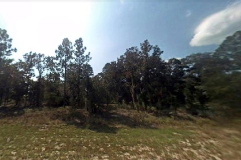 Terrain à Dunnellon, Floride № 2235322