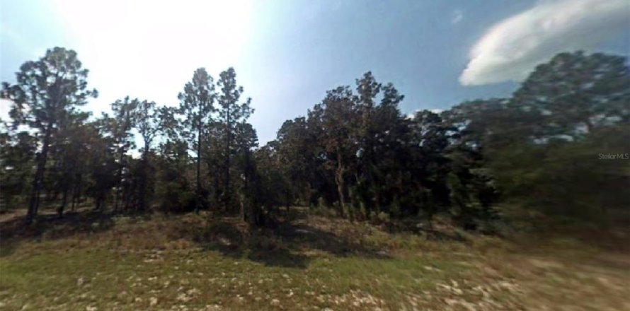 Terrain à Dunnellon, Floride № 2235322