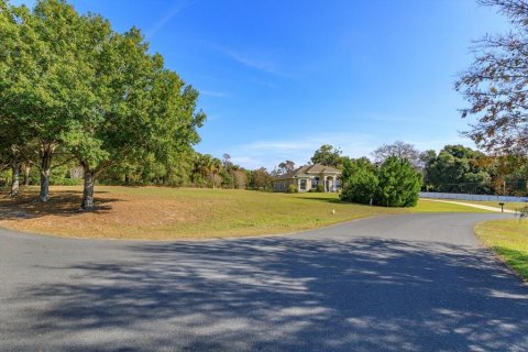 Land in Fruitland Park, Florida № 2213183
