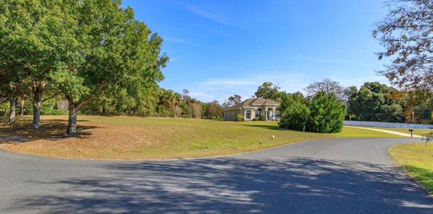 Land in Fruitland Park, Florida № 2213183