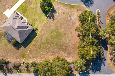 Land in Fruitland Park, Florida № 2213183 - photo 3
