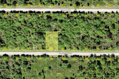Land in Port Charlotte, Florida № 2161341
