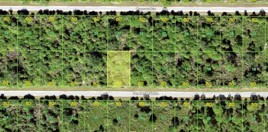Land in Port Charlotte, Florida № 2161341