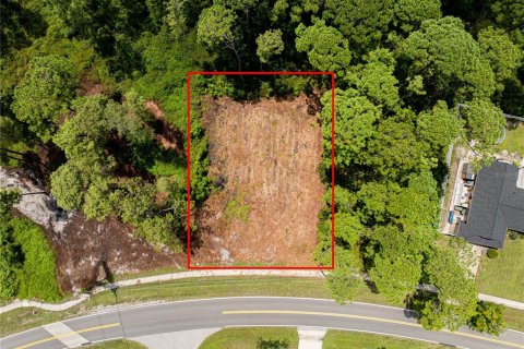 Terreno en venta en Deltona, Florida № 1918998 - foto 4