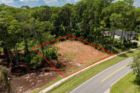 Terreno en venta en Deltona, Florida № 1918998 - foto 2