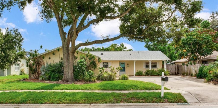 House in Seminole, Florida 3 bedrooms, 152.45 sq.m. № 1919616