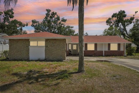 Villa ou maison à vendre à Tampa, Floride: 4 chambres, 153.85 m2 № 1884027 - photo 1