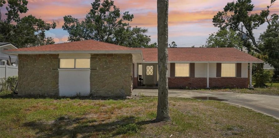 Villa ou maison à Tampa, Floride 4 chambres, 153.85 m2 № 1884027