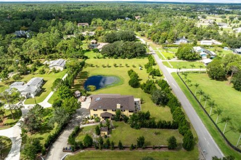 House in Oviedo, Florida 4 bedrooms, 499.54 sq.m. № 2420526