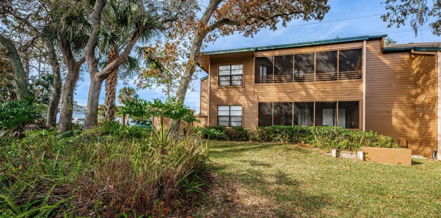 Condo à Palm Harbor, Floride, 2 chambres  № 2201725