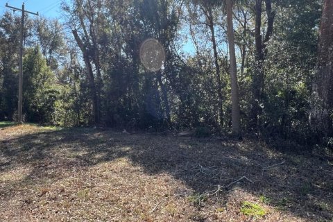 Land in Brooksville, Florida № 2127029