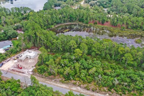 Terreno en venta en Eustis, Florida № 1691081 - foto 13