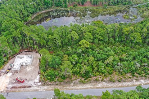 Terreno en venta en Eustis, Florida № 1691081 - foto 11