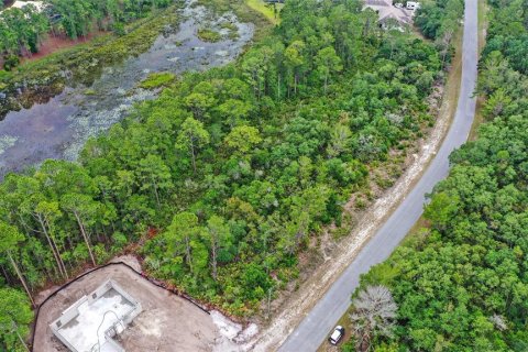 Terreno en venta en Eustis, Florida № 1691081 - foto 3