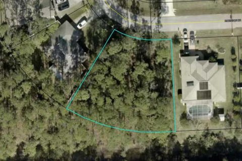 Land in Palm Coast, Florida № 1536244 - photo 1