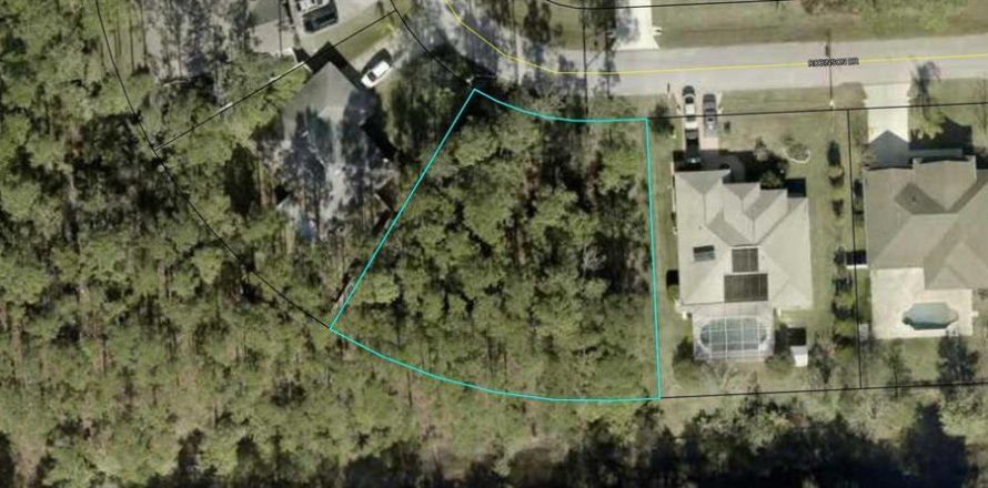 Land in Palm Coast, Florida № 1536244