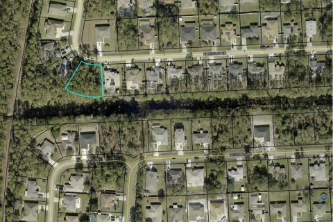 Land in Palm Coast, Florida № 1536244 - photo 2