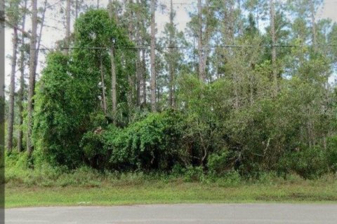 Land in Palm Coast, Florida № 1536244 - photo 3