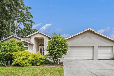 House in Palm Harbor, Florida 4 bedrooms, 306.3 sq.m. № 1835816 - photo 1