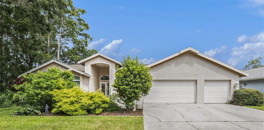 House in Palm Harbor, Florida 4 bedrooms, 306.3 sq.m. № 1835816