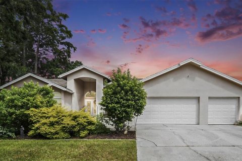House in Palm Harbor, Florida 4 bedrooms, 306.3 sq.m. № 1835816 - photo 2
