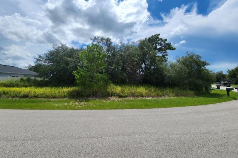 Land in Kissimmee, Florida № 1832687 - photo 1
