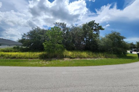 Land in Kissimmee, Florida № 1832687 - photo 2