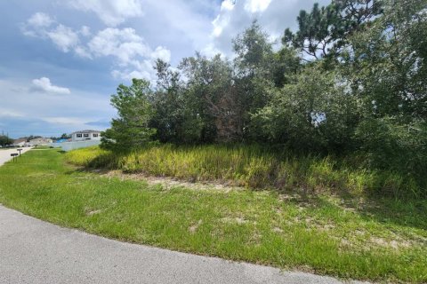Land in Kissimmee, Florida № 1832687 - photo 3