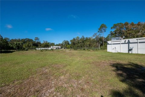 Propiedad comercial en venta en Gainesville, Florida, 201.88 m2 № 798514 - foto 13