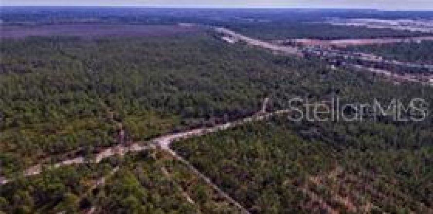 Land in Orlando, Florida № 214513