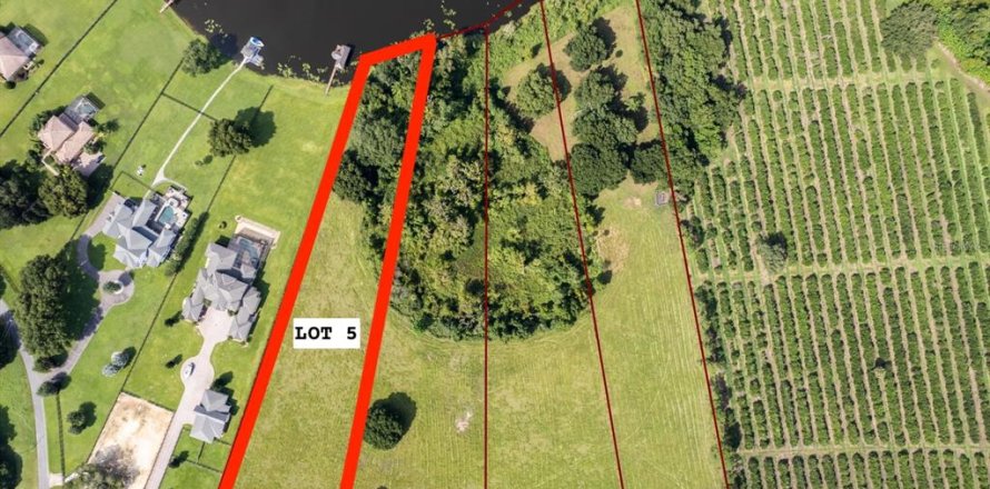 Terrain à Mount Dora, Floride № 1589721