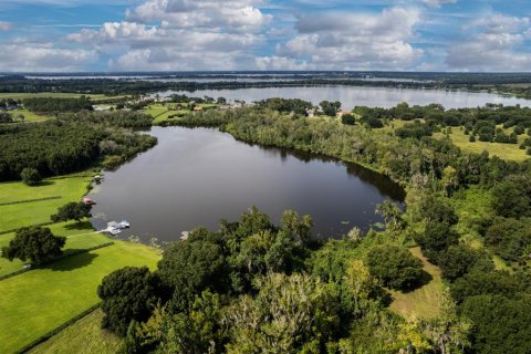 Terrain à vendre à Mount Dora, Floride № 1589721 - photo 2