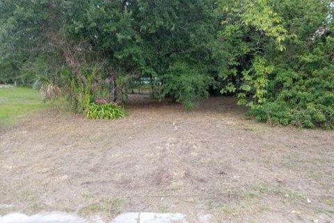 Купить земельный участок в Форт-Мид, Флорида № 2164740 - фото 4