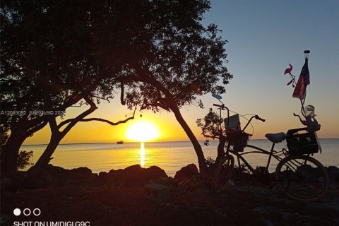 Casa en venta en Key Largo, Florida, 2 dormitorios, 79.15 m2 № 2066330 - foto 4