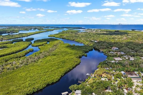 Hôtel, hôtellerie à vendre à Ruskin, Floride: 104.98 m2 № 2348082 - photo 17
