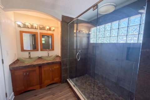 House in Tampa, Florida 5 bedrooms, 246.38 sq.m. № 2315256 - photo 18