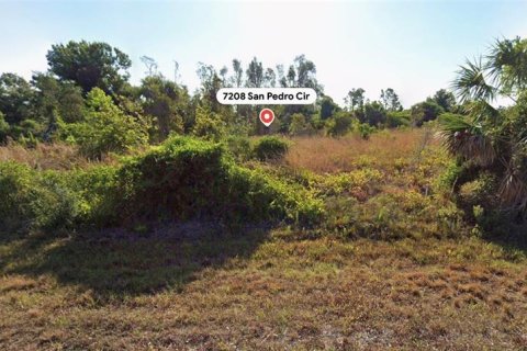 Land in Port Charlotte, Florida № 2159013 - photo 2