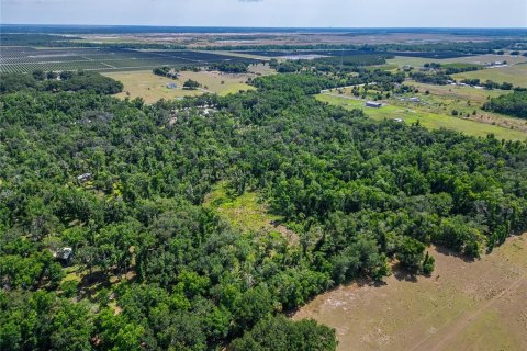 Land in Fish Hawk, Florida № 2142624 - photo 14