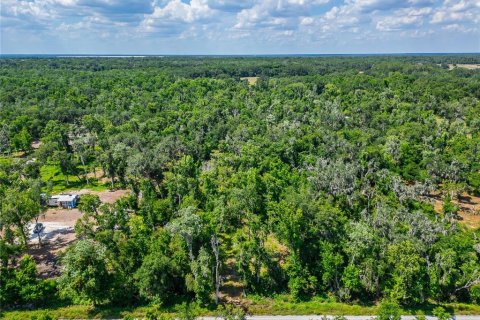 Land in Fish Hawk, Florida № 2142624 - photo 6
