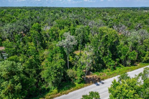 Land in Fish Hawk, Florida № 2142624 - photo 5