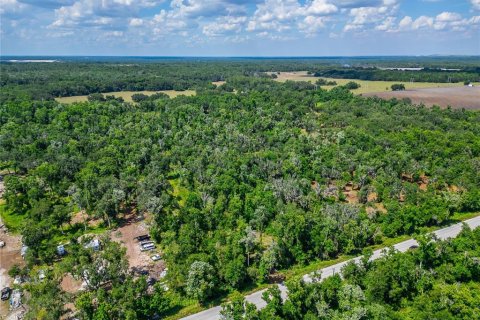Land in Fish Hawk, Florida № 2142624 - photo 7