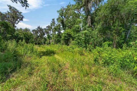 Land in Fish Hawk, Florida № 2142624 - photo 20