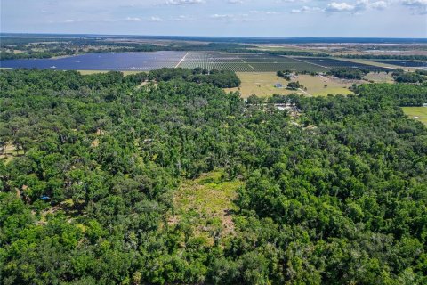 Land in Fish Hawk, Florida № 2142624 - photo 10