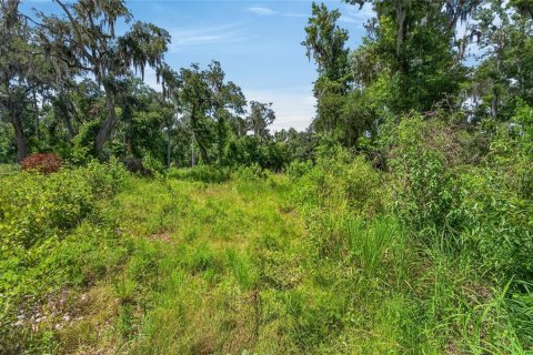 Land in Fish Hawk, Florida № 2142624 - photo 19
