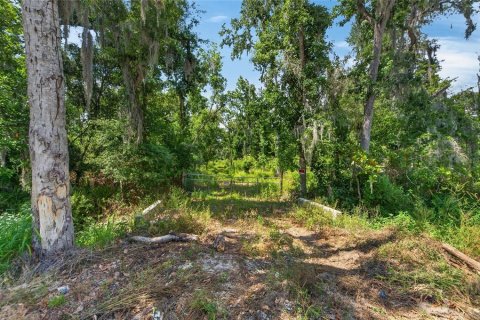 Land in Fish Hawk, Florida № 2142624 - photo 22