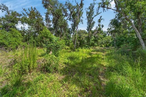 Land in Fish Hawk, Florida № 2142624 - photo 17